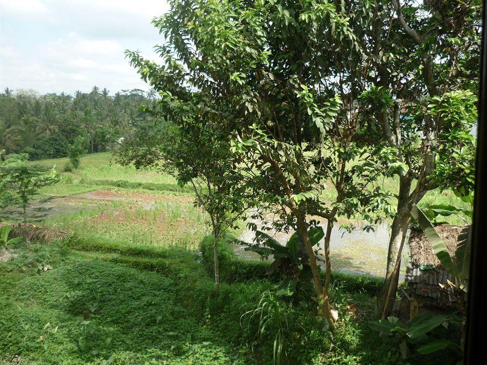 Kudos Guesthouse Ubud Dış mekan fotoğraf