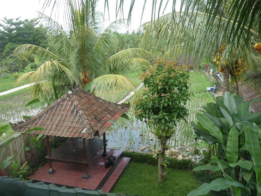 Kudos Guesthouse Ubud Dış mekan fotoğraf