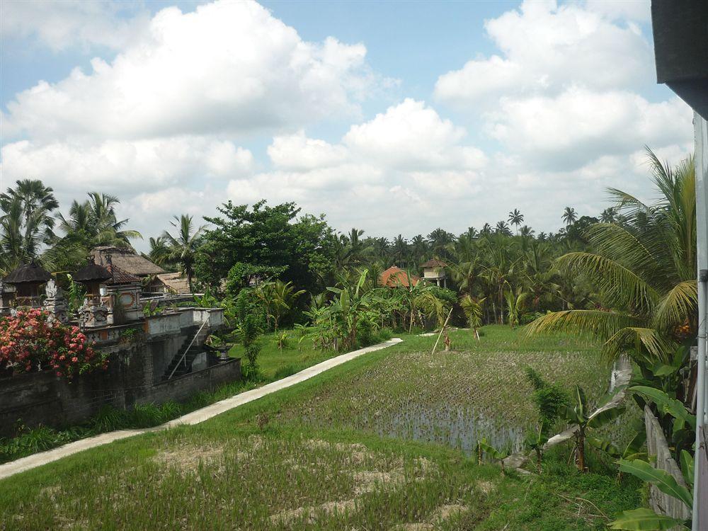 Kudos Guesthouse Ubud Dış mekan fotoğraf